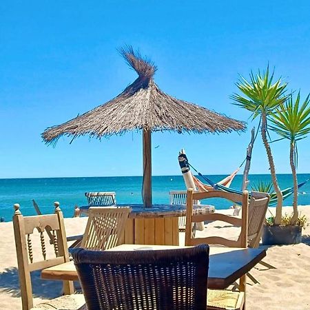 T3 Grande Terrasse Bord De Mer Le Barcarès Buitenkant foto