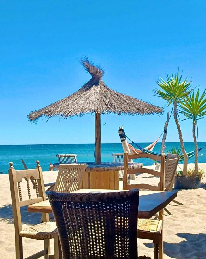 T3 Grande Terrasse Bord De Mer Le Barcarès Buitenkant foto